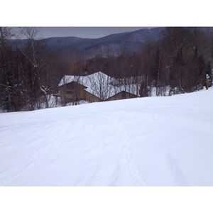 Meet your Posher, Wynne